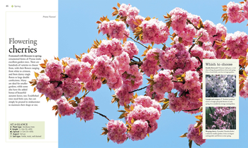 Бумажная книга «The Gardener's Year. Create, Care For, and Enjoy Your Garden Season by Season» - фото №3 - миниатюра