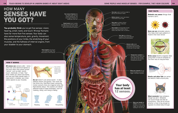 Бумажная книга «It Can't Be True! Human Body!» - фото №9 - миниатюра