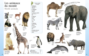 Бумажная книга «French Language Learner. Everything You Need to Get Talking» - фото №6 - миниатюра