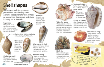 Бумажная книга «Seashore. Explore Nature with Fun Facts and Activities» - фото №4 - миниатюра