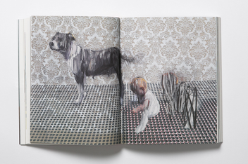 Бумажная книга «The Book of the Dog. Dogs in Art», автор Ангус Хайленд - фото №7 - миниатюра