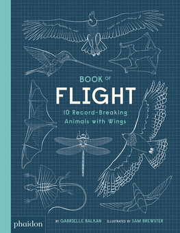 Бумажная книга «Book of Flight», автор Габриэль Балкан - фото №1 - миниатюра