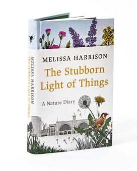 Паперова книга «The Stubborn Light of Things », автор Мелісса Харрісон - фото №3 - мініатюра