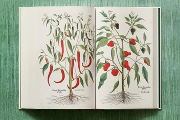 Паперова книга «Leonhart Fuchs. The New Herbal», автор Вернер Дрессендерфер - фото №11 - мініатюра