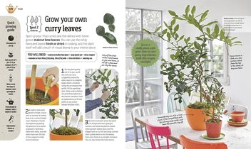 Бумажная книга «Indoor Edible Garden. Creative Ways to Grow Herbs, Fruit and Vegetables in Your Home», автор Зия Аллауэй - фото №3 - миниатюра