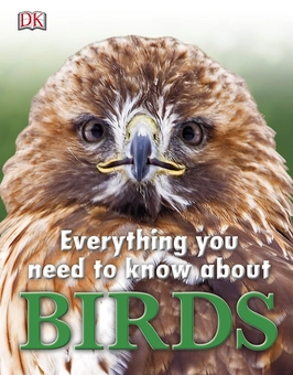 Бумажная книга «Everything You Need to Know About Birds» - фото №1 - миниатюра