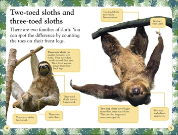 Бумажная книга «Sloths» - фото №6 - миниатюра
