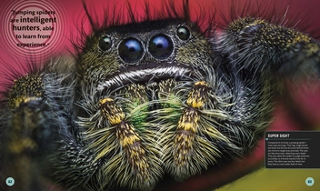 Бумажная книга «SuperBug» - фото №2 - миниатюра