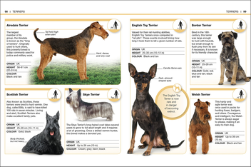 Паперова книга «Dogs. Facts at Your Fingertips» - фото №6 - мініатюра