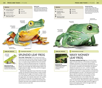 Бумажная книга «Nature Guide Snakes and Other Reptiles and Amphibians. The World in Your Hands» - фото №5 - миниатюра