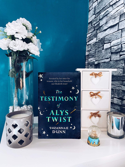 Бумажная книга «The Testimony of Alys Twist», автор Сюзанна Данн - фото №2 - миниатюра