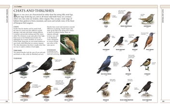 Бумажная книга «RSPB Complete Birds of Britain and Europe», автор Роб Хьюм - фото №3 - миниатюра