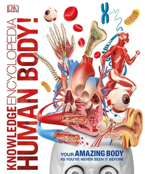 Бумажная книга «Knowledge Encyclopedia Human Body!» - фото №1 - миниатюра