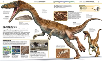 Бумажная книга «Knowledge Encyclopedia Dinosaur! Over 60 Prehistoric Creatures as You've Never Seen Them Before» - фото №5 - миниатюра