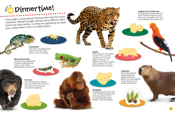 Паперова книга «Jungle Ultimate Sticker Book» - фото №4 - мініатюра