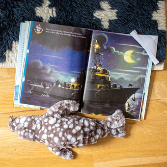 Бумажная книга «Make Your Bed with Skipper the Seal», автор Уильям Макрейвен - фото №3 - миниатюра