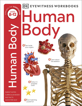 Бумажная книга «Human Body Workbook» - фото №1 - миниатюра