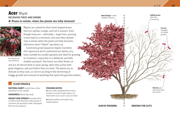 Паперова книга «RHS Pruning Plant by Plant. How to Prune more than 200 Popular Plants» - фото №4 - мініатюра