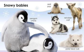 Паперова книга «My First Baby Animals» - фото №3 - мініатюра