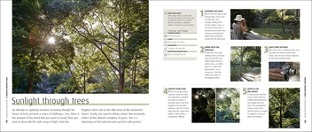 Бумажная книга «How to Photograph Absolutely Everything», автор Том Анг - фото №6 - миниатюра