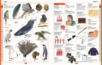 Бумажная книга «Children's Illustrated Dictionary», автор Джон Макилвейн - фото №3 - миниатюра