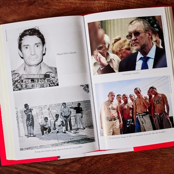 Бумажная книга «Mafia: A Global History», автор Райан Джинджерас - фото №3 - миниатюра