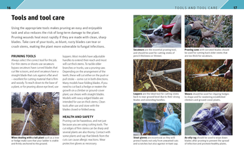 Паперова книга «RHS Pruning Plant by Plant. How to Prune more than 200 Popular Plants» - фото №5 - мініатюра