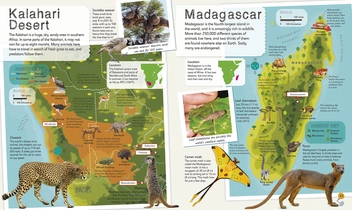 Бумажная книга «Children's Illustrated Animal Atlas» - фото №6 - миниатюра