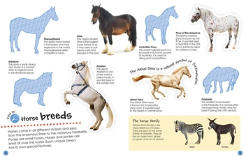 Бумажная книга «Horses and Ponies Ultimate Sticker Book » - фото №6 - миниатюра