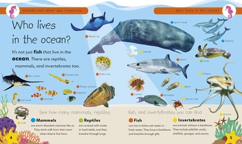 Бумажная книга «Sharks and Other Sea Creatures. Full of Fun Facts and Activities» - фото №6 - миниатюра