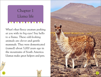Бумажная книга «Llamas» - фото №5 - миниатюра