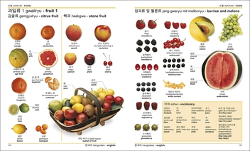 Бумажная книга «Korean-English Bilingual Visual Dictionary» - фото №4 - миниатюра