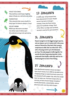 Бумажная книга «Facts! One for every day of the year», автор Трейси Тернер - фото №5 - миниатюра
