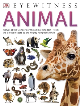 Бумажная книга «Animal» - фото №1 - миниатюра