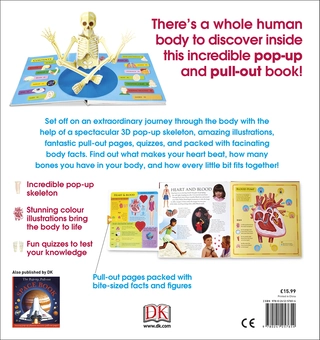 Бумажная книга «The Pop-Up, Pull Out Human Body» - фото №2 - миниатюра