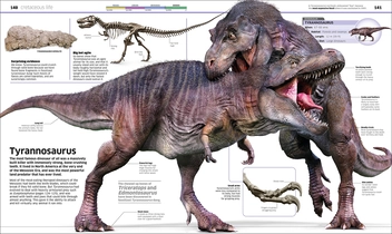 Бумажная книга «Knowledge Encyclopedia Dinosaur! Over 60 Prehistoric Creatures as You've Never Seen Them Before» - фото №7 - миниатюра
