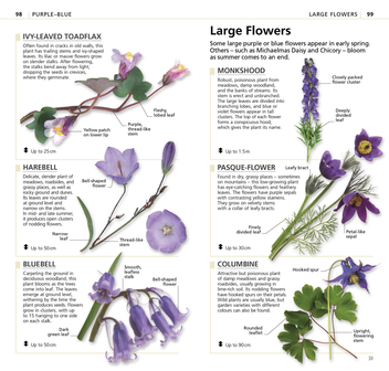 Паперова книга «What's that Flower? The Simplest ID Guide Ever» - фото №5 - мініатюра