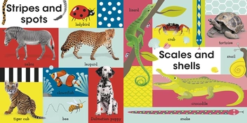 Паперова книга «100 First Animals», автор Доун Сіретт - фото №5 - мініатюра