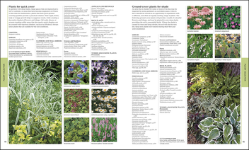 Бумажная книга «RHS Encyclopedia Of Plants and Flowers», автор Кристофер Брикелл - фото №4 - миниатюра
