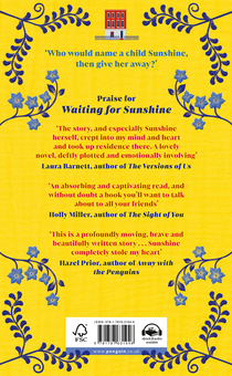 Бумажная книга «Waiting for Sunshine», автор Джейн Сандерсон - фото №2 - миниатюра