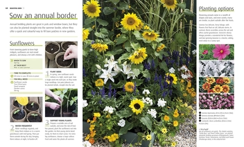 Паперова книга «RHS How to Grow Practically Everything. Gardening Projects Anyone Can Do», авторів Зія Алауей, Лія Леендертц - фото №2 - мініатюра