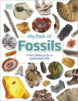 Бумажная книга «My Book of Fossils», автор Дин Ломакс - фото №1 - миниатюра