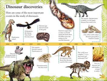 Паперова книга «Dinosaurs Discovered» - фото №6 - мініатюра