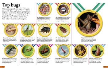 Бумажная книга «DKfindout! Bugs» - фото №7 - миниатюра