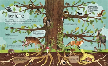 Бумажная книга «RHS The Magic and Mystery of Trees», автор Джен Грин - фото №5 - миниатюра