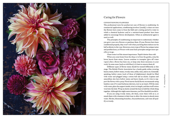Паперова книга «Cultivated», автор Крістін Гілл - фото №7 - мініатюра