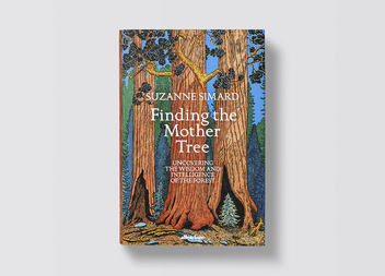 Бумажная книга «Finding the Mother Tree », автор Сюзанна Симард - фото №6 - миниатюра