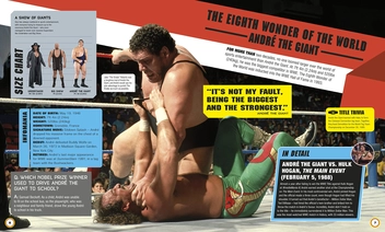 Паперова книга «WWE Absolutely Everything You Need to Know», авторів Дін Міллер, Стів Панталео - фото №7 - мініатюра