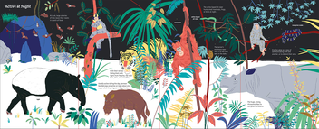 Паперова книга «Ultimate Spotlight: Rain Forest Animals», автор Сандра Лабукарі - фото №5 - мініатюра