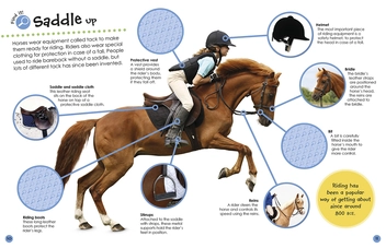 Бумажная книга «Horses and Ponies Ultimate Sticker Book » - фото №7 - миниатюра